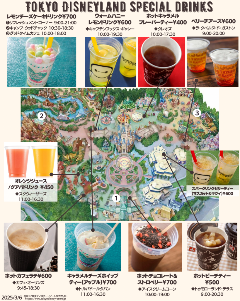 ディズニーバケパ　フリードリンク券 ディズニー バケーションパッケージ フリードリンク券 8⁄6-8⁄7 バケパ